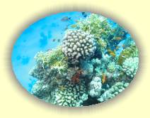 IMG_2007_05_27 18_33_28 * 2254 x 1690 * (716KB)